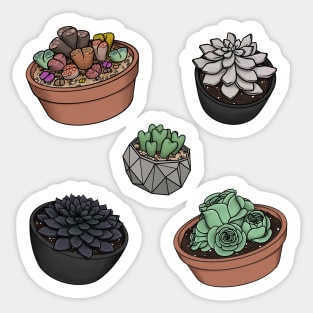 Cute Succulent Sticker Set 2 - Lithops, Ghost Plant, Heart Plant, Black Prince, Greenovia Rose Succulent Sticker